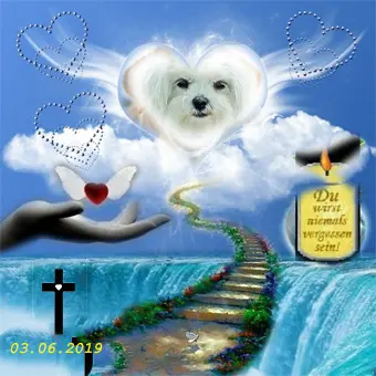 Andachtsbild von Günter