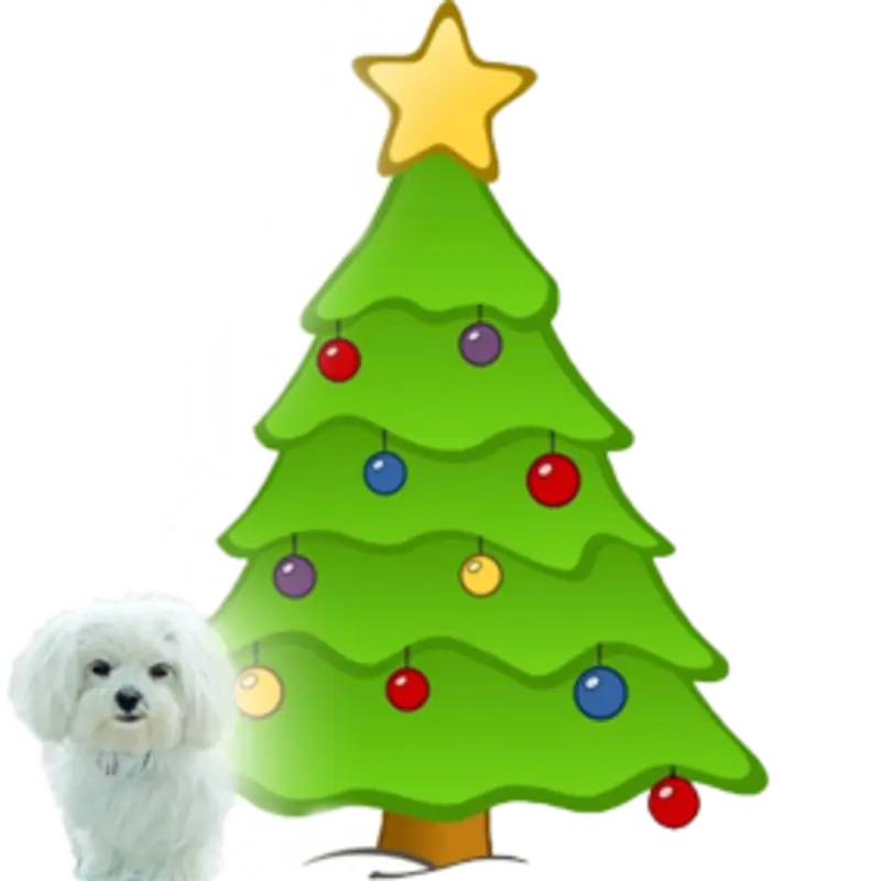 Andachtsbild von Unbekannt