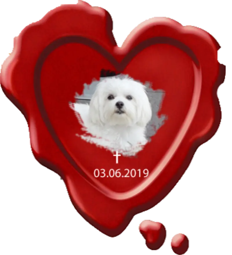 Andachtsbild von Unbekannt