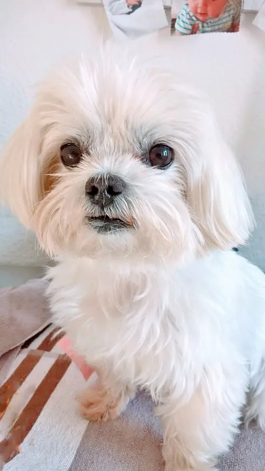 Bild von Quenia Rufname Fabienne