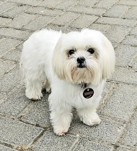 Bild von Quenia Rufname Fabienne