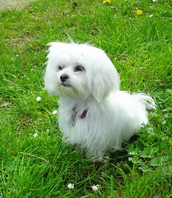 Bild von Quenia Rufname Fabienne