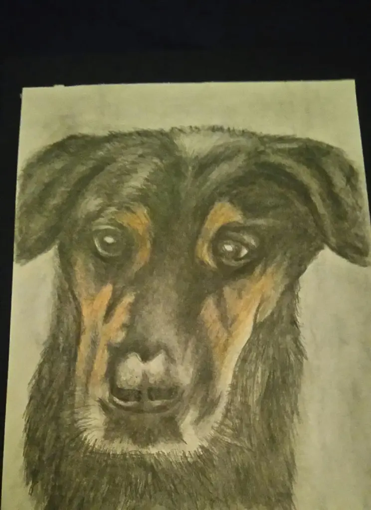 Image from Harley