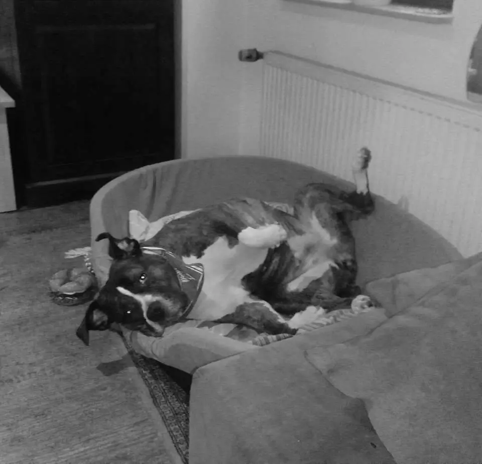 Image from Fiby