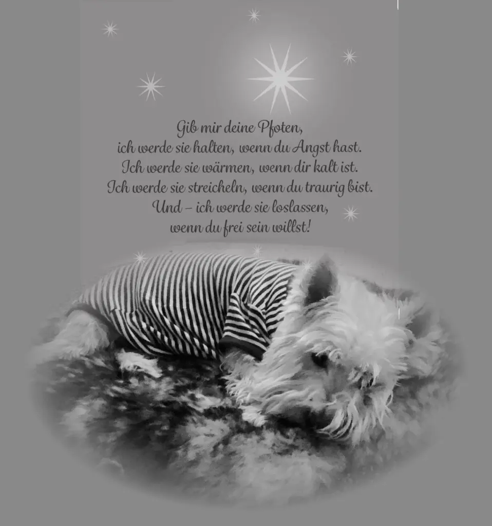 Image from Sally