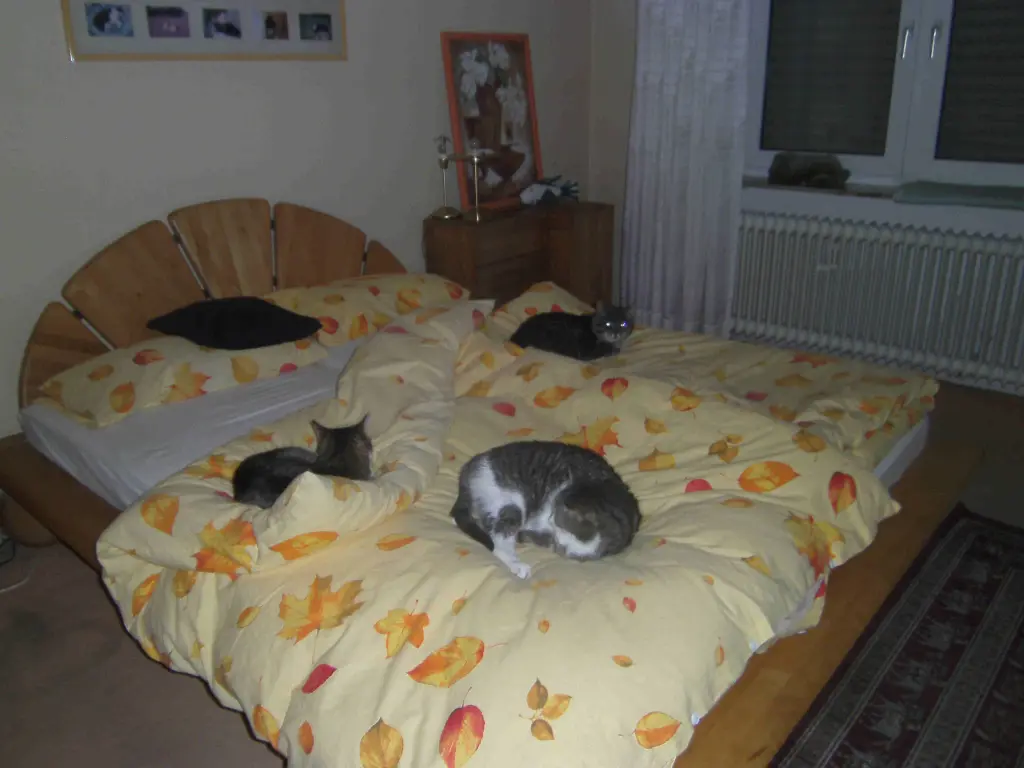 Image from Loui