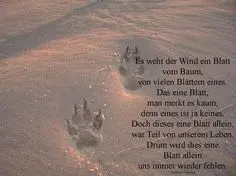 Condolence image of Heike