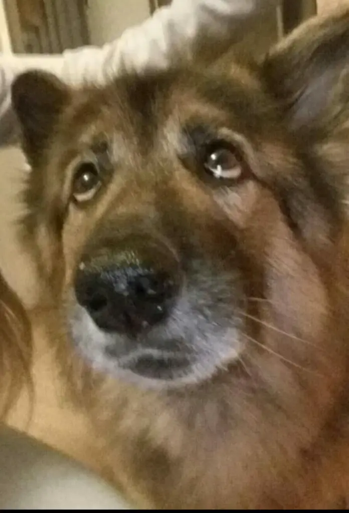 Condolence image of Stefanie