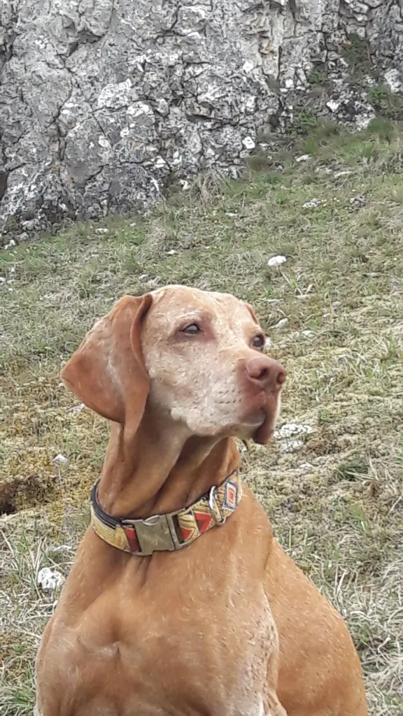 Condolence image of Anja