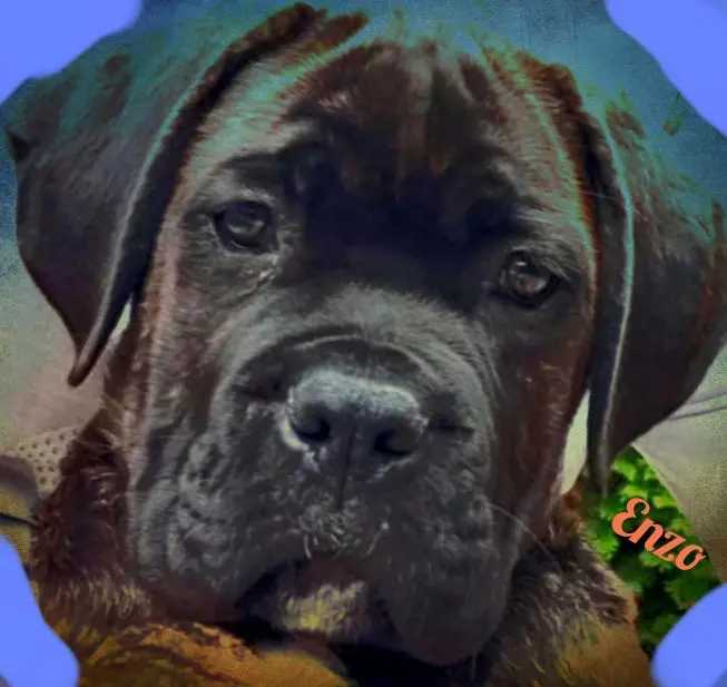 Condolence image of Britta