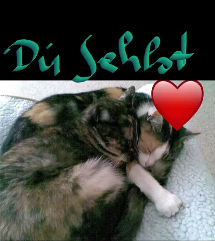 Image from Tinka