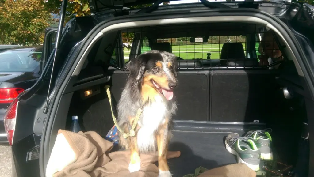 Image from Rusty