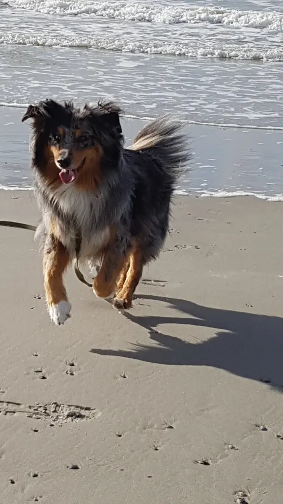 Image from Rusty