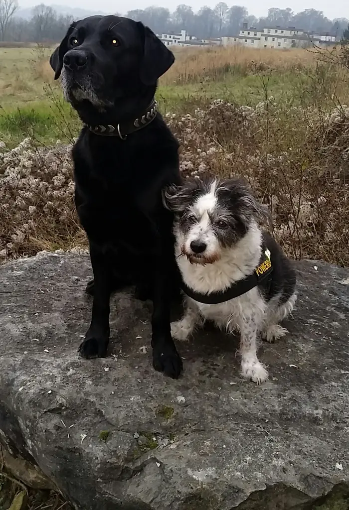 Andachtsbild von Andrea Rose-Conrad