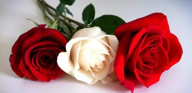 Andachtsbild von Andrea