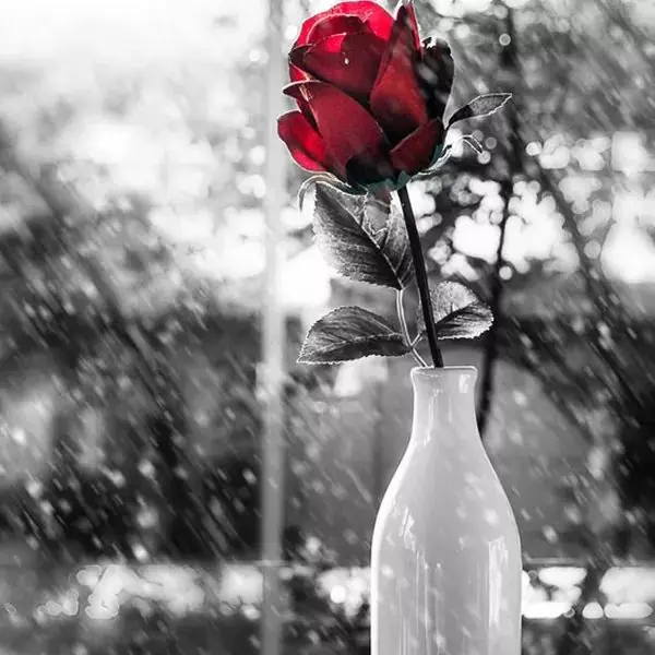 Andachtsbild von Andrea