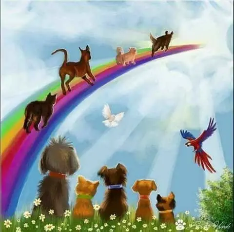 Andachtsbild von Sandra