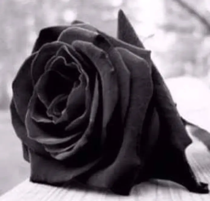 Andachtsbild von Andrea