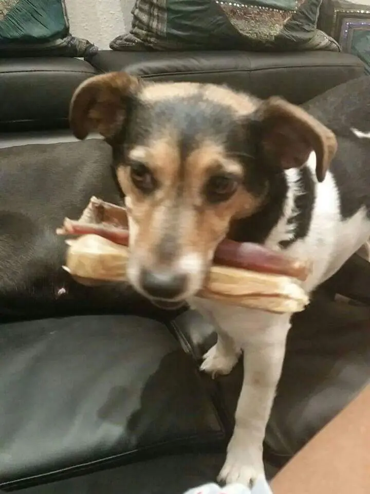 Andachtsbild von Heike