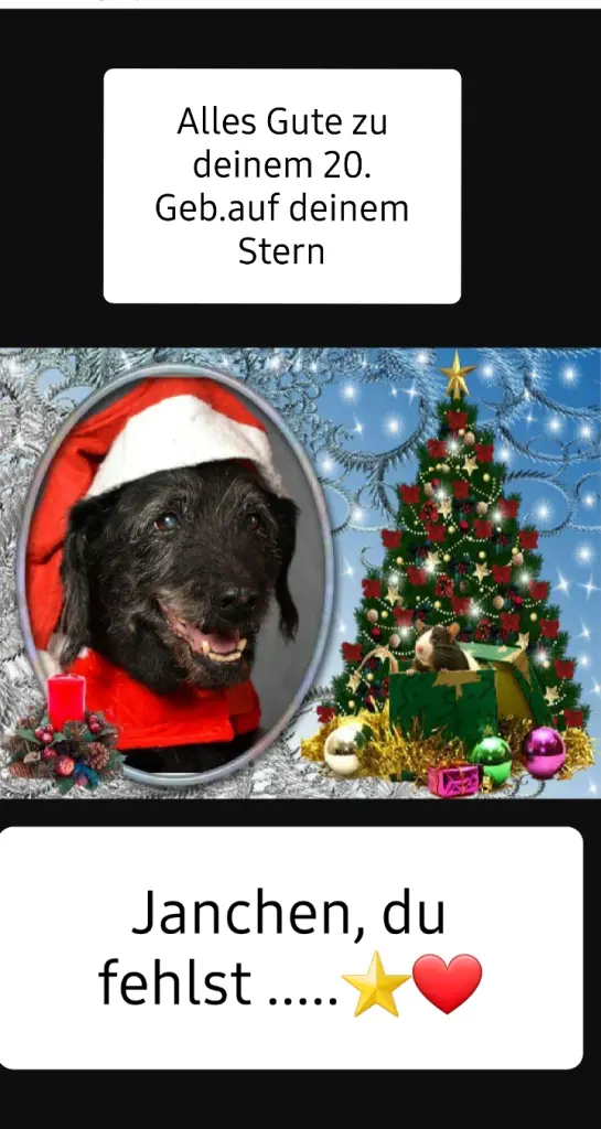 Andachtsbild von Andrea