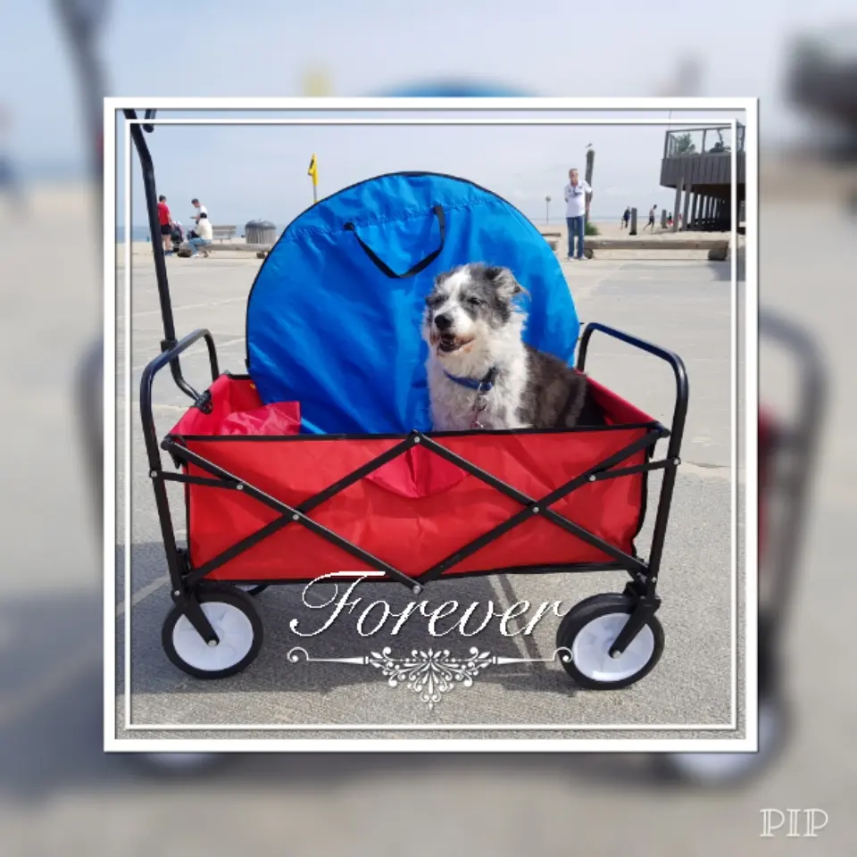 Andachtsbild von Andrea