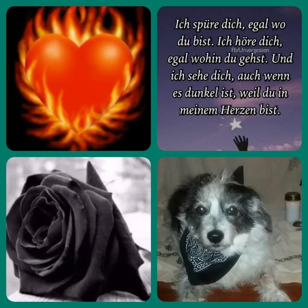 Andachtsbild von Andrea