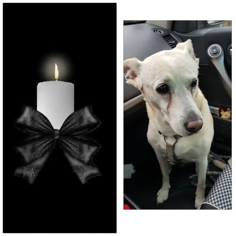 Andachtsbild von Andrea