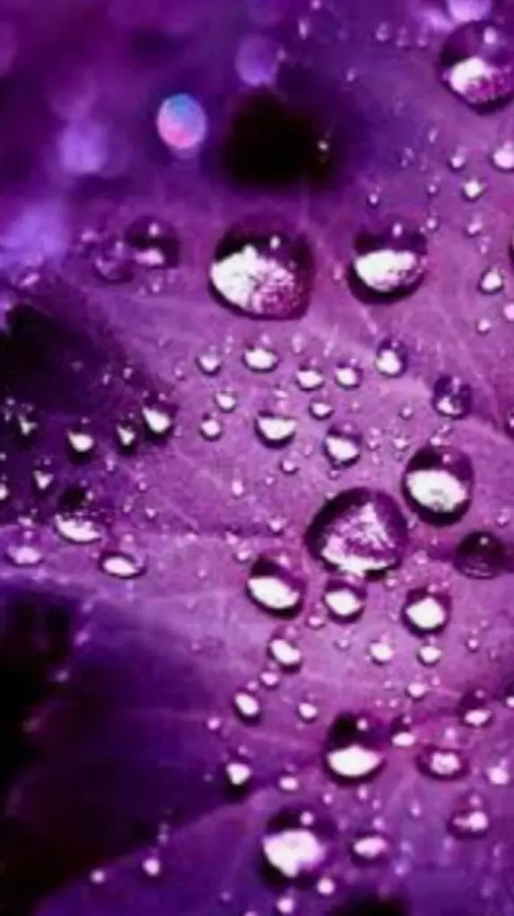 Andachtsbild von Andrea