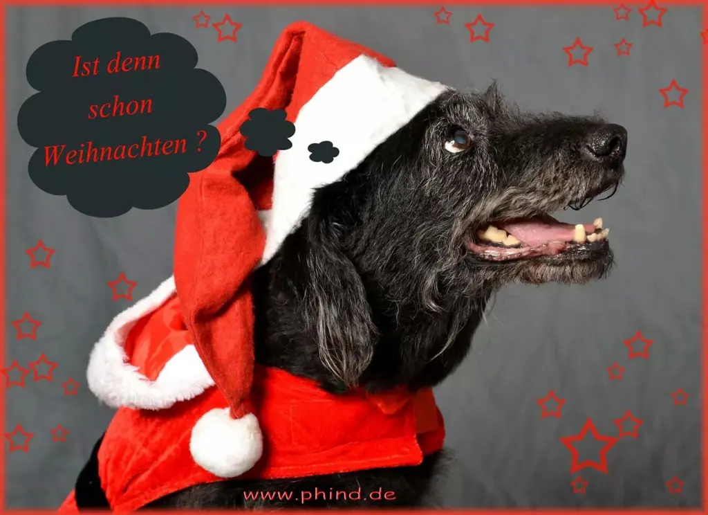 Andachtsbild von Andrea