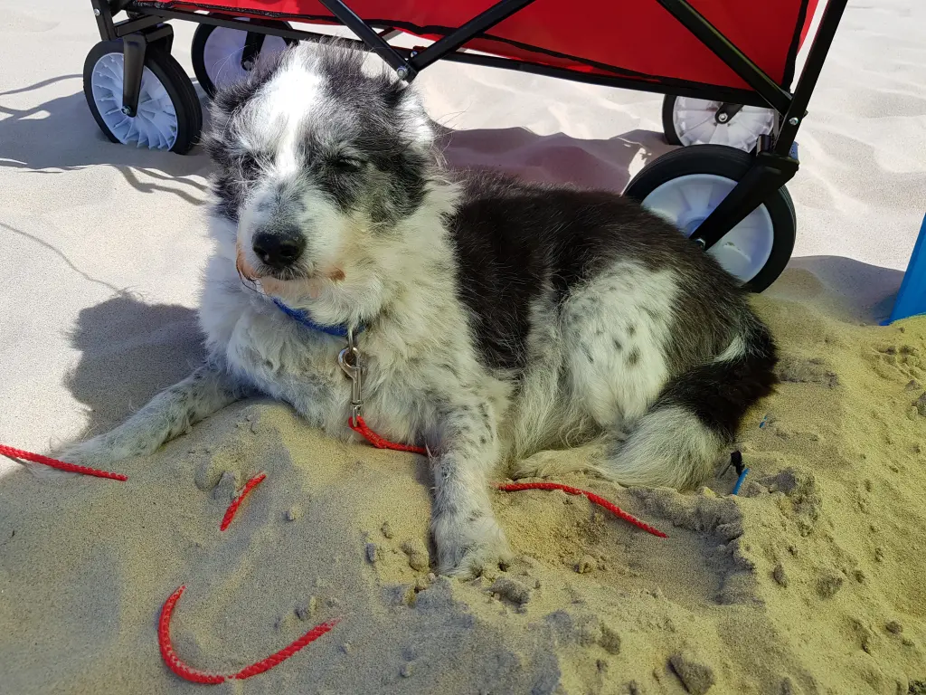 Andachtsbild von Andrea