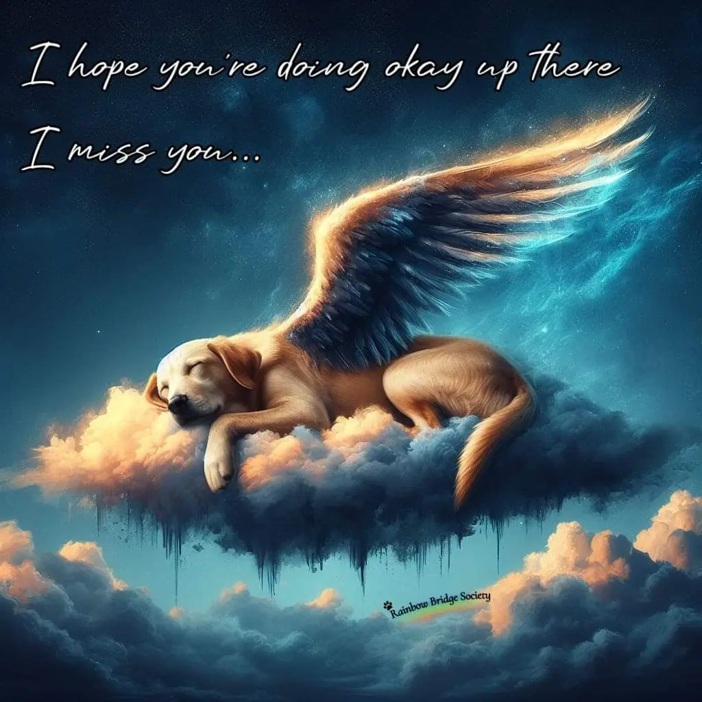 Andachtsbild von Andrea Rose-Conrad