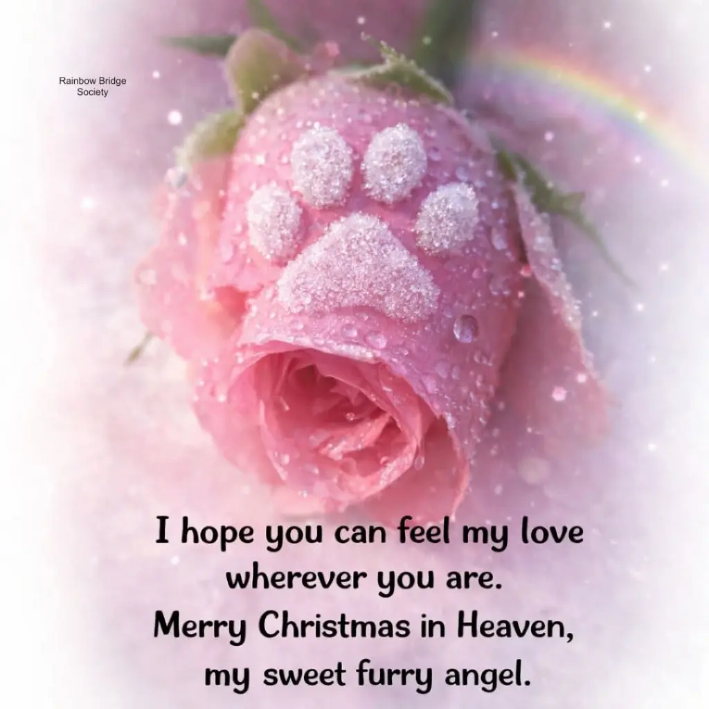 Condolence image of Andrea