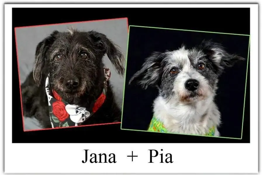 Bild von JANA&PIA