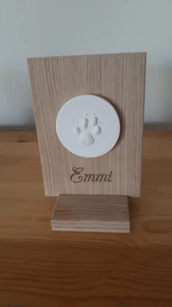 Image from Emmi