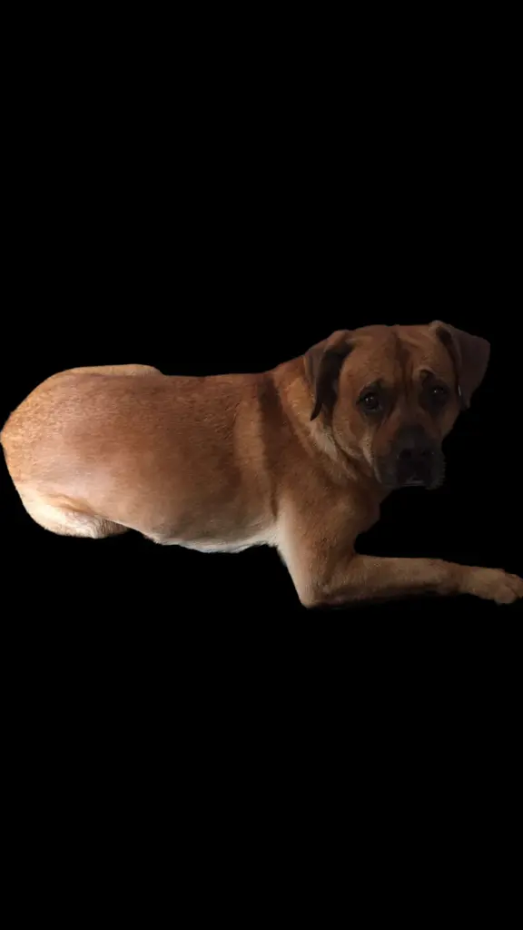 Condolence image of Matthias