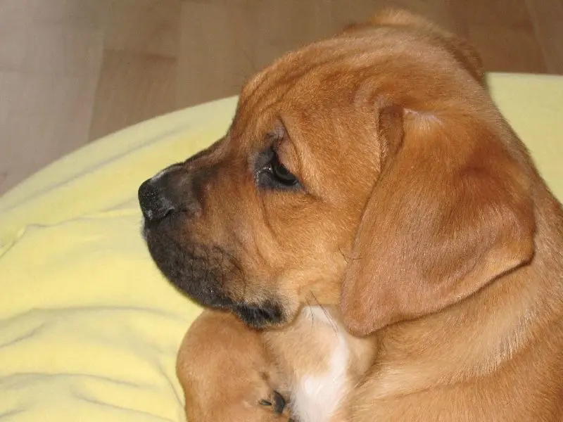 Condolence image of Matthias