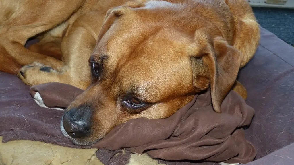 Condolence image of Matthias
