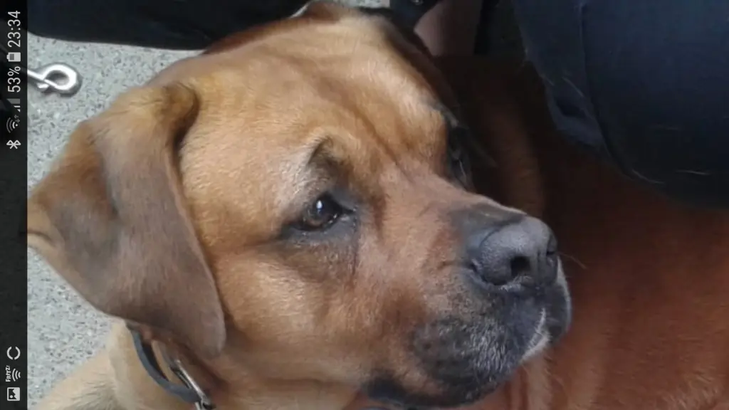 Condolence image of Matthias