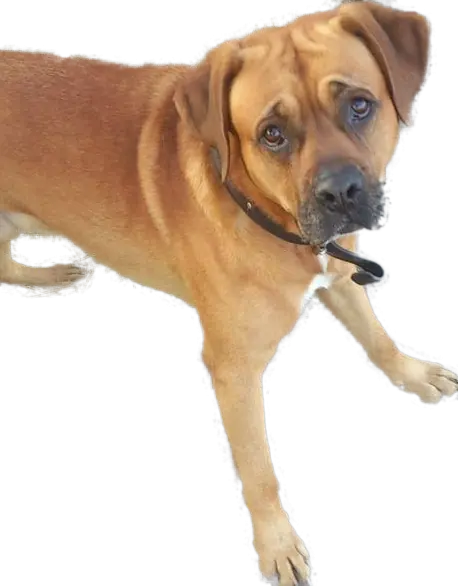 Condolence image of Matthias
