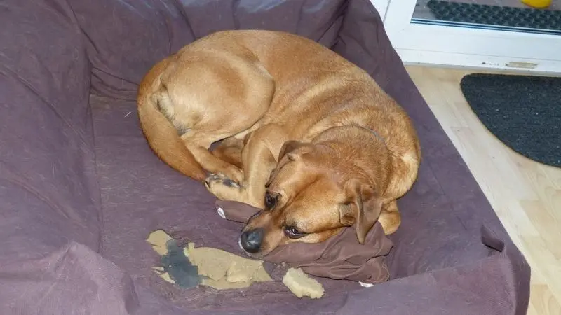 Condolence image of Matthias
