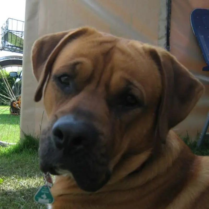 Condolence image of Matthias