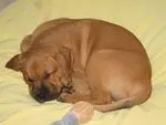 Condolence image of Matthias