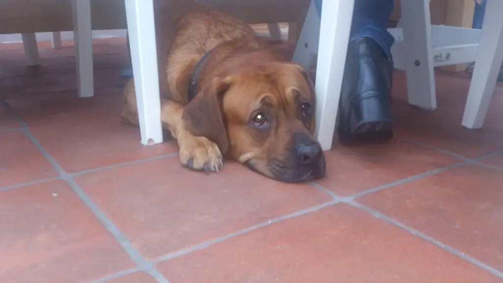Condolence image of Matthias