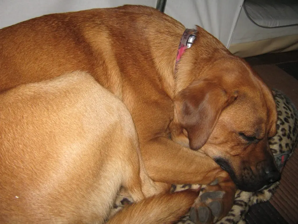 Condolence image of Matthias
