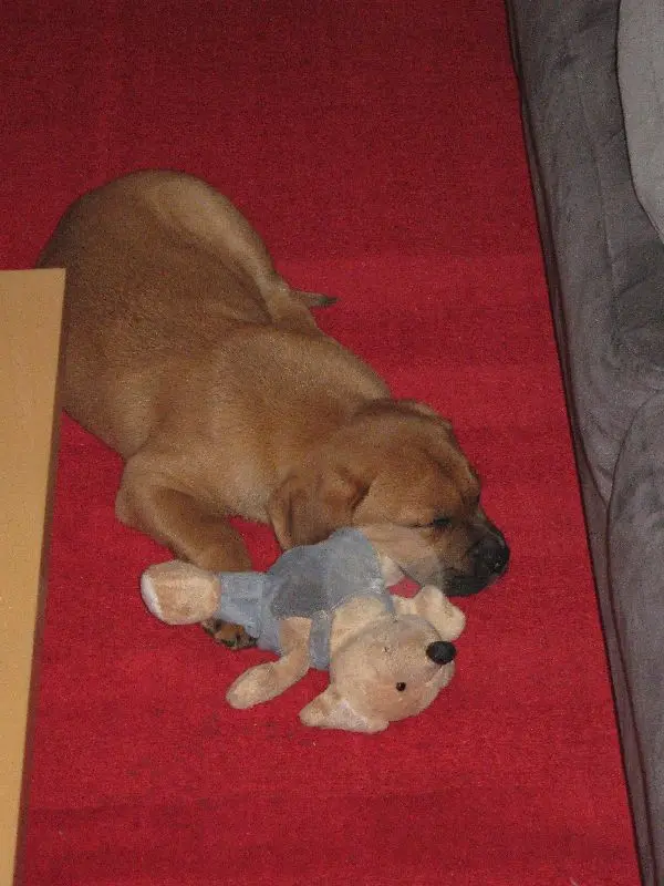 Condolence image of Matthias