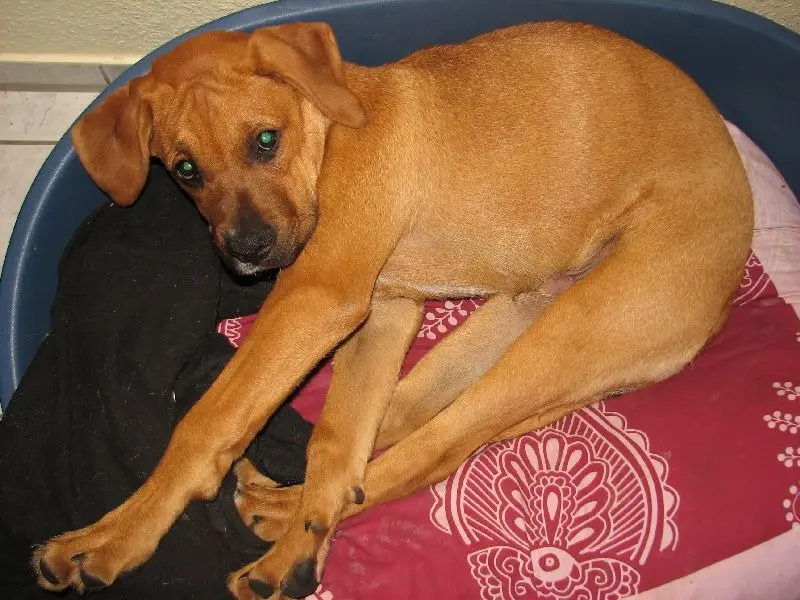 Condolence image of Matthias