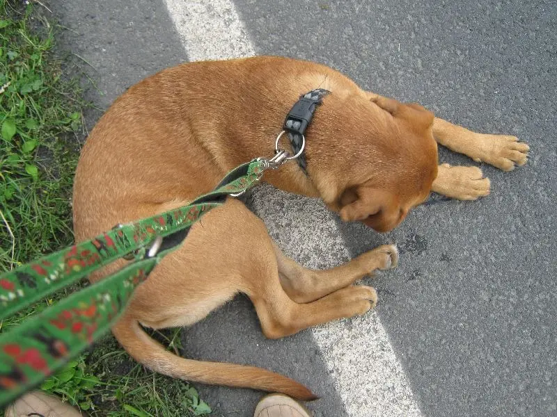 Condolence image of Matthias
