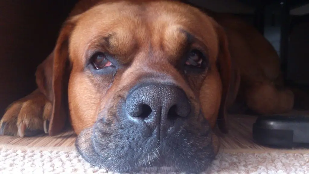 Condolence image of Matthias
