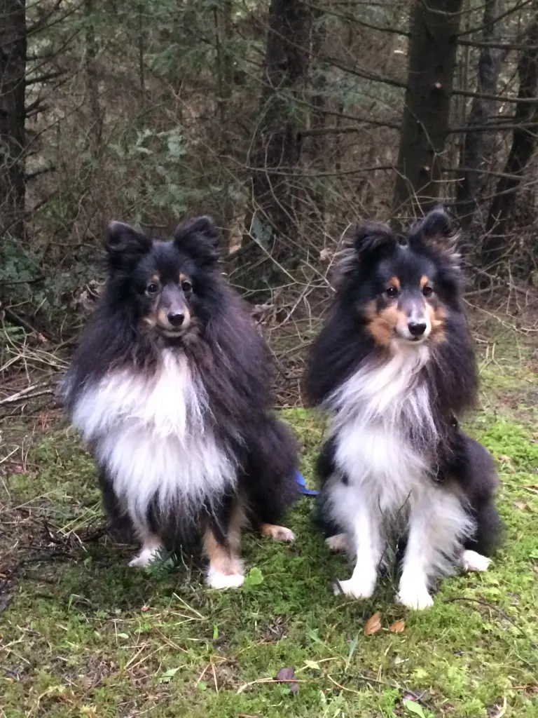 Image from Willi & Luigi