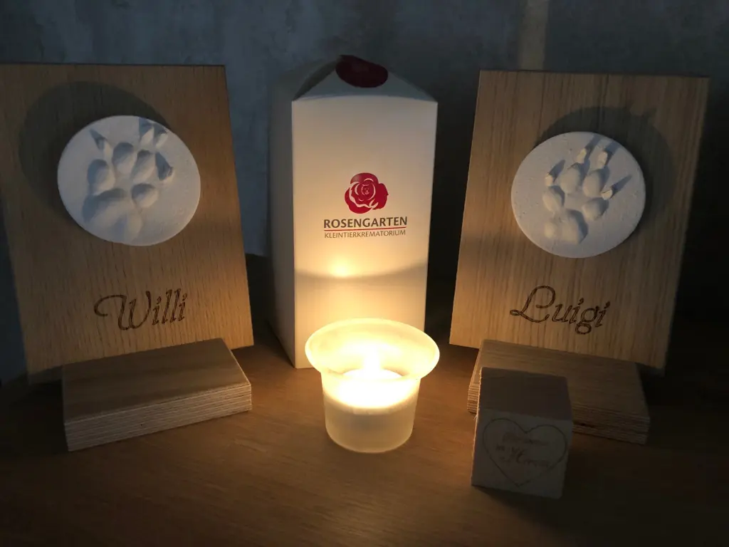 Image from Willi & Luigi